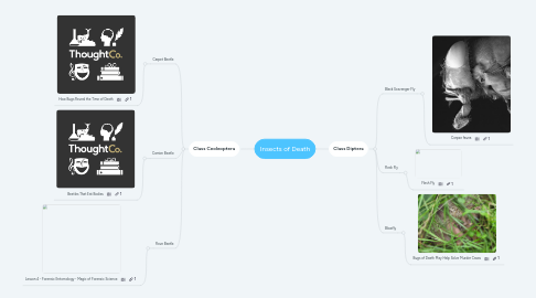 Mind Map: Insects of Death