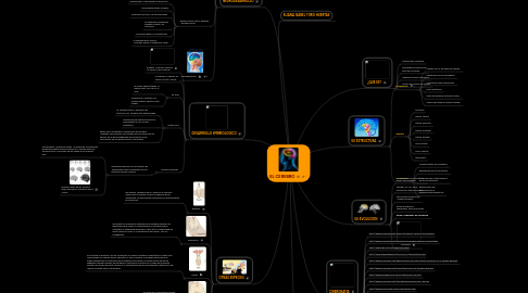 Mind Map: EL CEREBRO