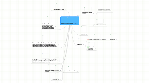 Mind Map: EVOLUCION DEL CEREBRO