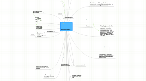 Mind Map: Evolucion del cerebro