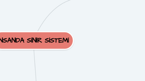 Mind Map: İNSANDA SİNİR SİSTEMİ