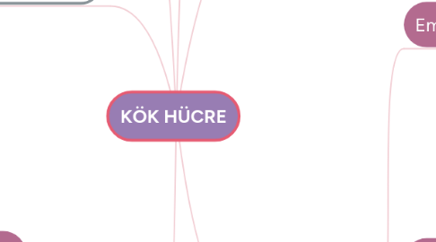 Mind Map: KÖK HÜCRE