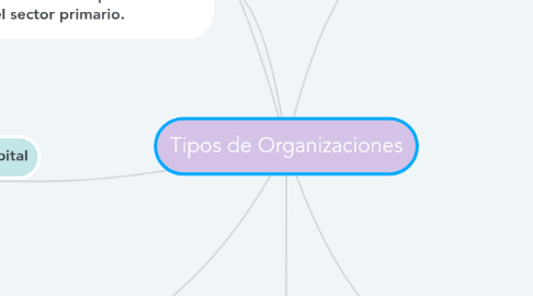 Mind Map: Tipos de Organizaciones