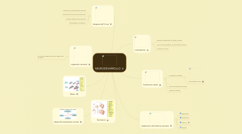 Mind Map: NEURODESARROLLO