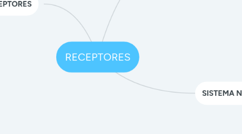 Mind Map: RECEPTORES