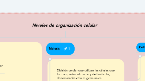 Mind Map: Niveles de organización celular