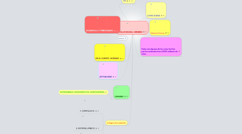 Mind Map: EVOLUCION DEL CEREBRO