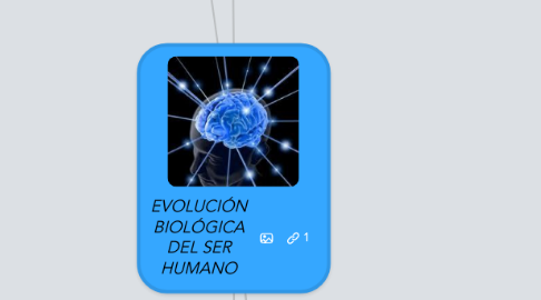 Mind Map: EVOLUCIÓN BIOLÓGICA DEL SER HUMANO