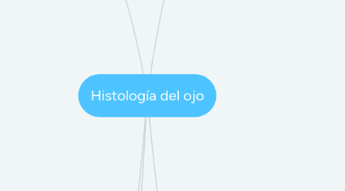 Mind Map: Histología del ojo