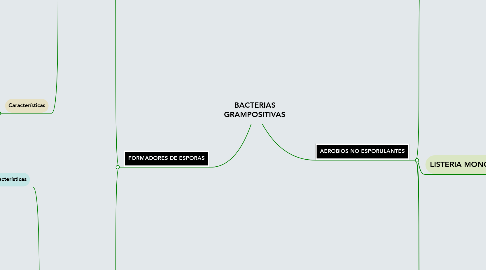 Mind Map: BACTERIAS GRAMPOSITIVAS