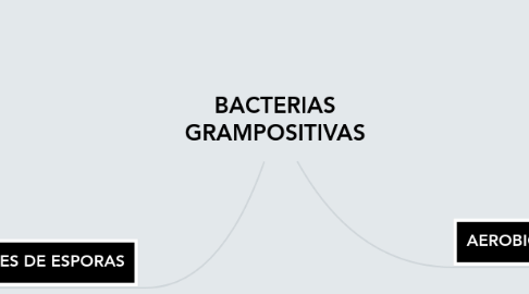 Mind Map: BACTERIAS GRAMPOSITIVAS