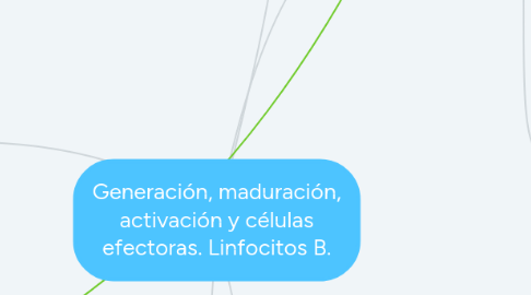 Mind Map: Generación, maduración, activación y células efectoras. Linfocitos B.