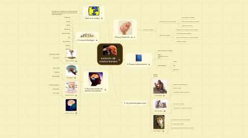 Mind Map: evolución del cerebro humano