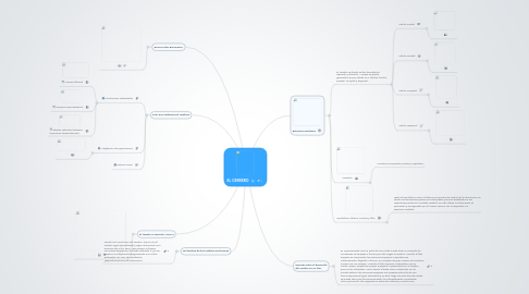 Mind Map: EL CEREBRO