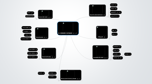 Mind Map: EL CEREBRO HUMANO