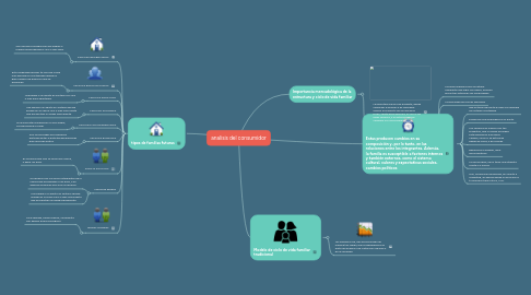 Mind Map: analisis del consumidor