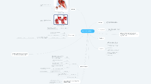 Mind Map: Angina de pecho