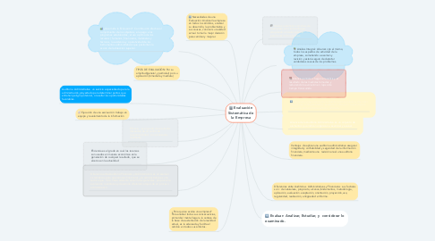 Mind Map: Evaluación Sistemática de la Empresa