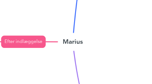 Mind Map: Marius