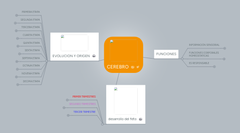 Mind Map: CEREBRO