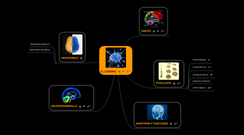 Mind Map: EL CEREBRO