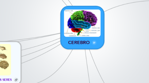 Mind Map: CEREBRO