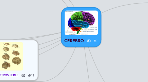 Mind Map: CEREBRO