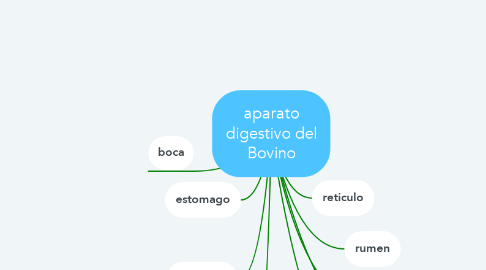 Mind Map: aparato digestivo del Bovino