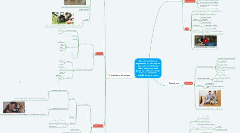 Mind Map: Reinvent moving out experience for pet owners thanks to a mobile app =Give advises and sell products thanks to an app to not traumatize an animal during a move.
