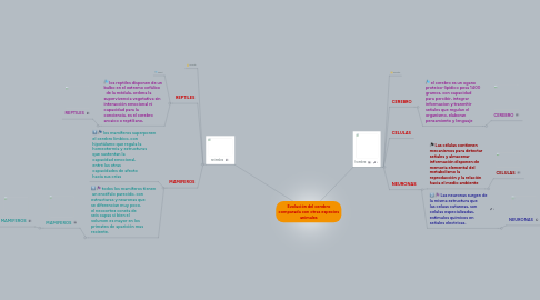 Mind Map: Evolución del cerebro comparada con otras especies animales