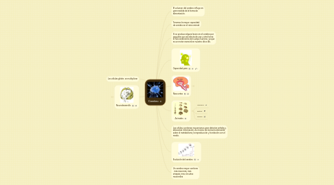 Mind Map: Cerebro