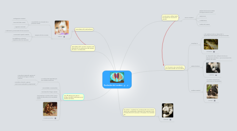 Mind Map: Evolución del cerebro