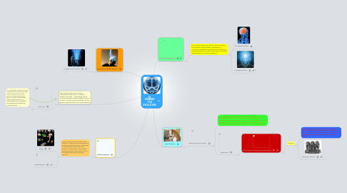 Mind Map: EL CEREBRO Y SU EVOLUCION.