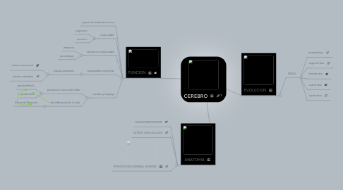 Mind Map: CEREBRO