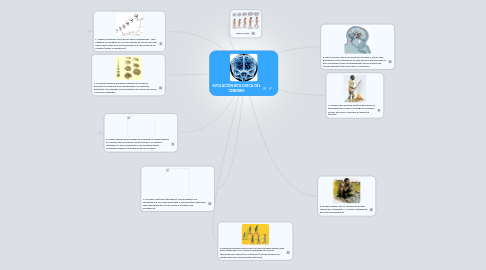 Mind Map: EVOLUCIÓN BIOLOGICA DEL CEREBRO