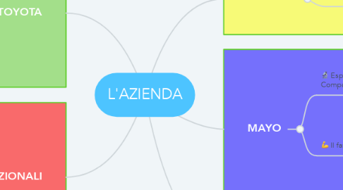 Mind Map: L'AZIENDA