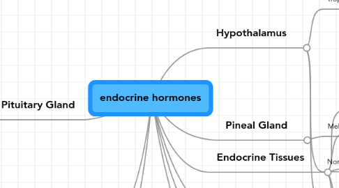 Mind Map: endocrine hormones