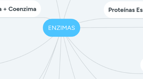 Mind Map: ENZIMAS