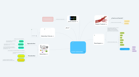 Mind Map: TEJIDO SANGUÍNEO