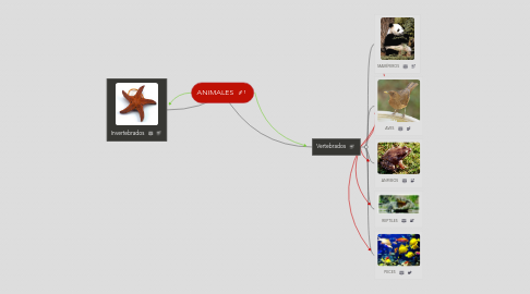 Mind Map: ANIMALES