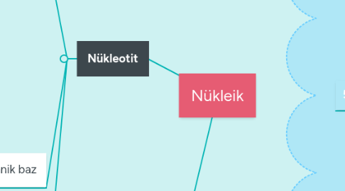 Mind Map: Nükleik