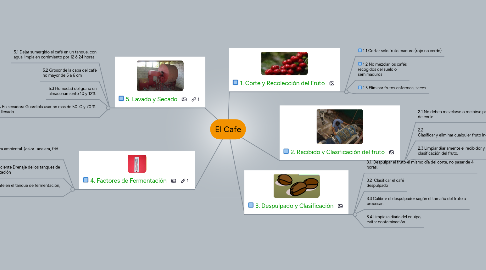 Mind Map: El Cafe