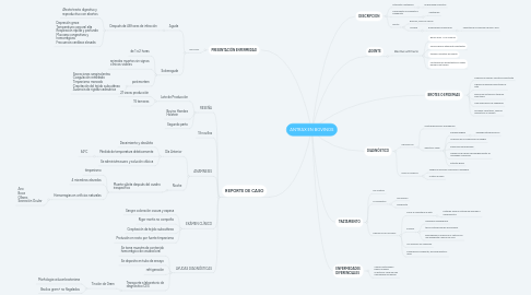 Mind Map: ANTRAX EN BOVINOS