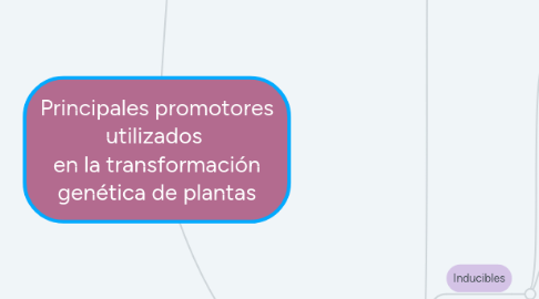 Mind Map: Principales promotores utilizados en la transformación genética de plantas