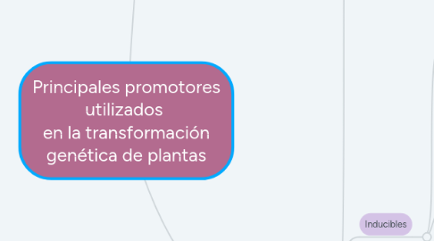 Mind Map: Principales promotores utilizados  en la transformación genética de plantas