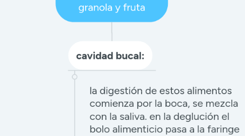 Mind Map: digestion del yogurt, granola y fruta