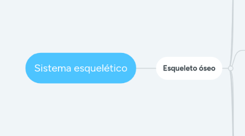 Mind Map: Sistema esquelético