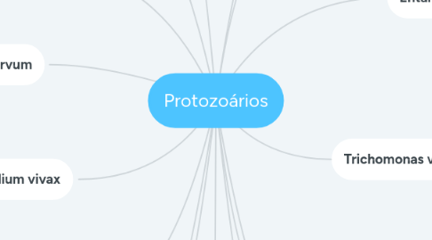 Mind Map: Protozoários