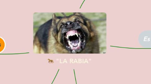Mind Map: "LA RABIA"