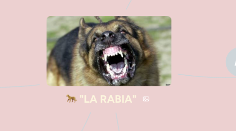 Mind Map: "LA RABIA"